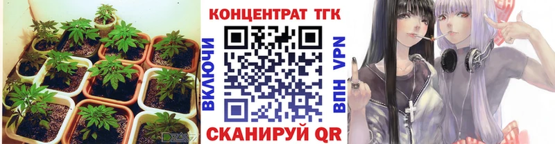 shop какой сайт  где купить наркотик  Первоуральск  ТГК THC oil 