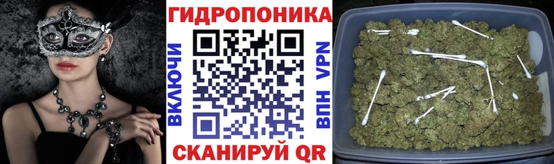 Шишки марихуана план Первоуральск